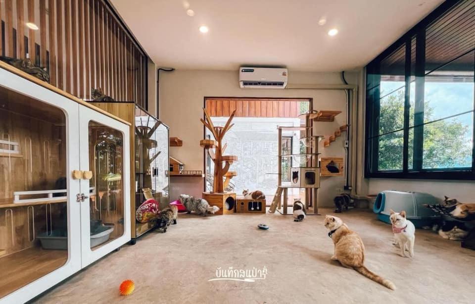 Apartamento Amaze At Themyth Mae Rim Exterior foto